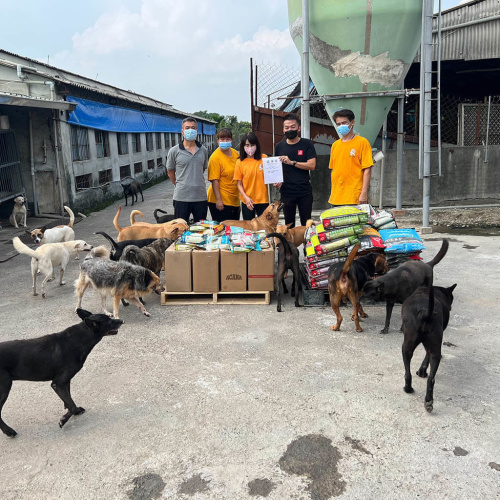 ORIJEN 飼料捐贈至台灣愛狗人協會